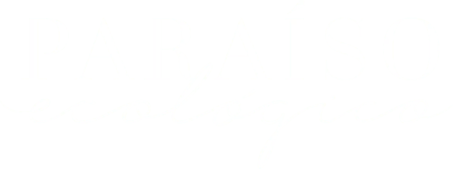 logo color (1)