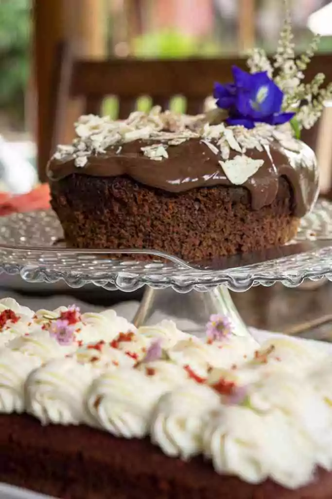 cafe paraisoecologico (7)