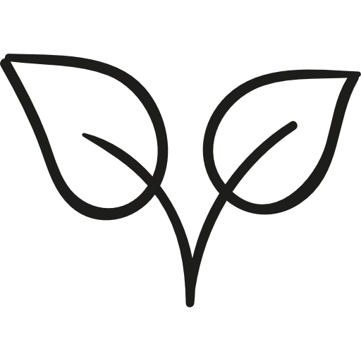 duas folhas de planta no outono